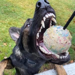 Meet your Posher, Eric